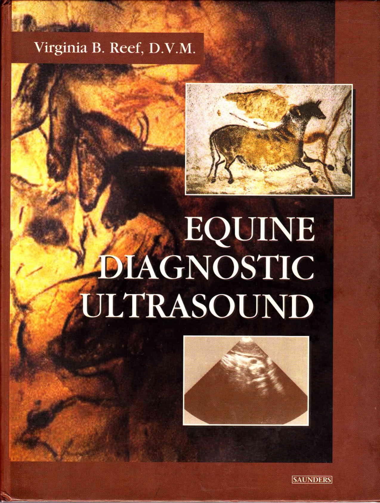 Equine Diagnostic Ultrasound