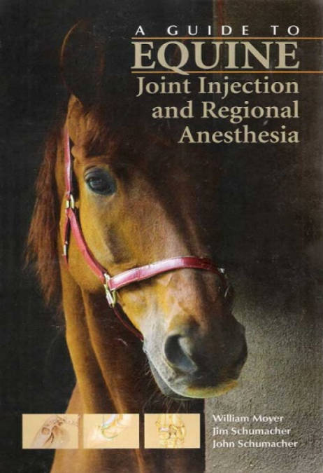 A Guide to Equine Joint Injection and Regional Anesthesia