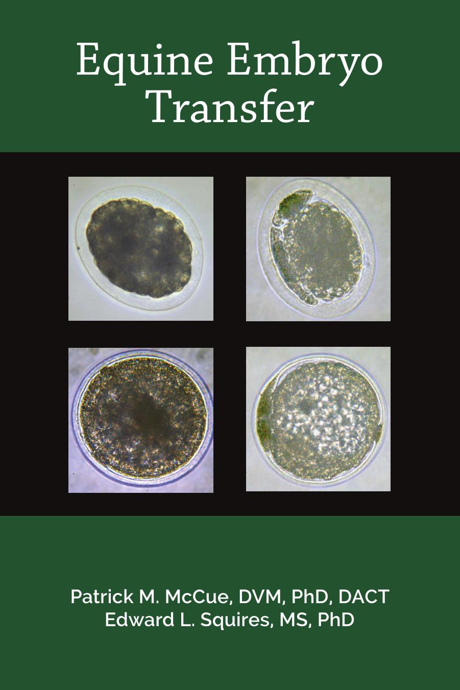 Equine Embryo Transfer