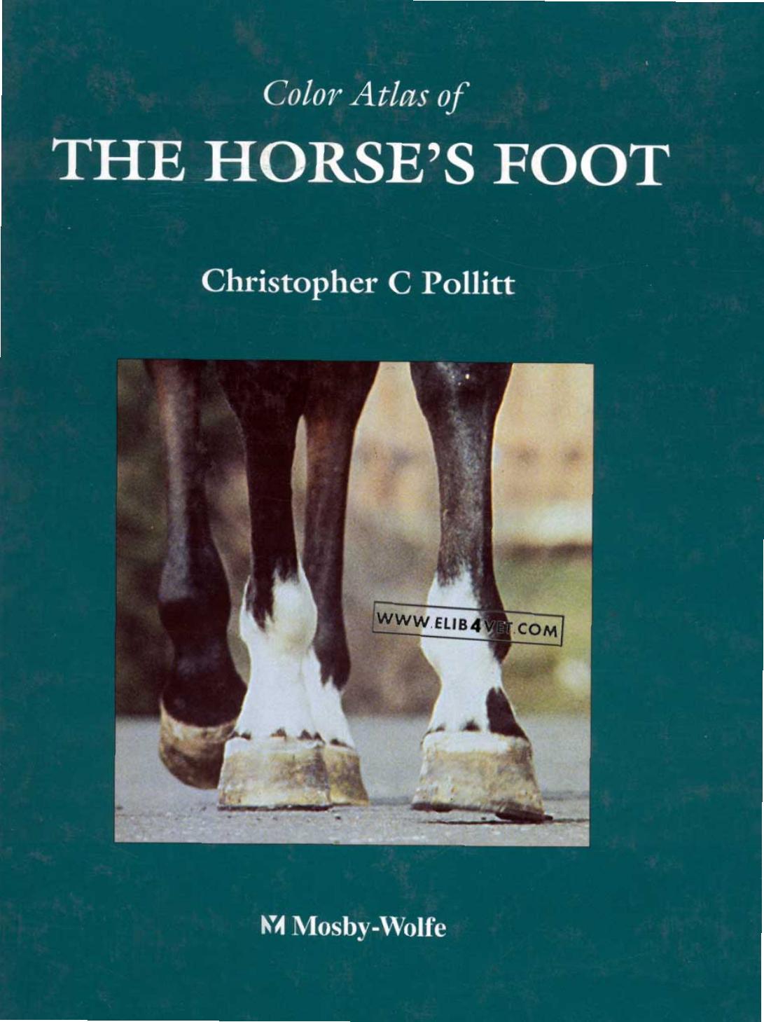 Color Atlas of the Horse's Foot