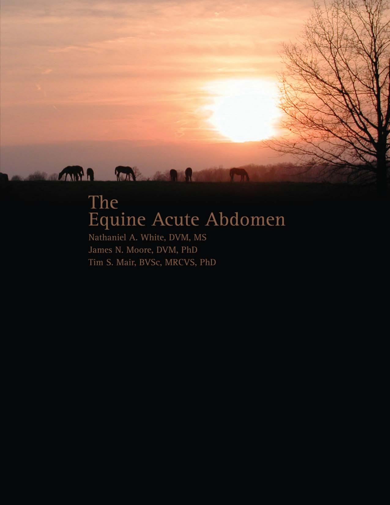 Equine Acute Abdomen