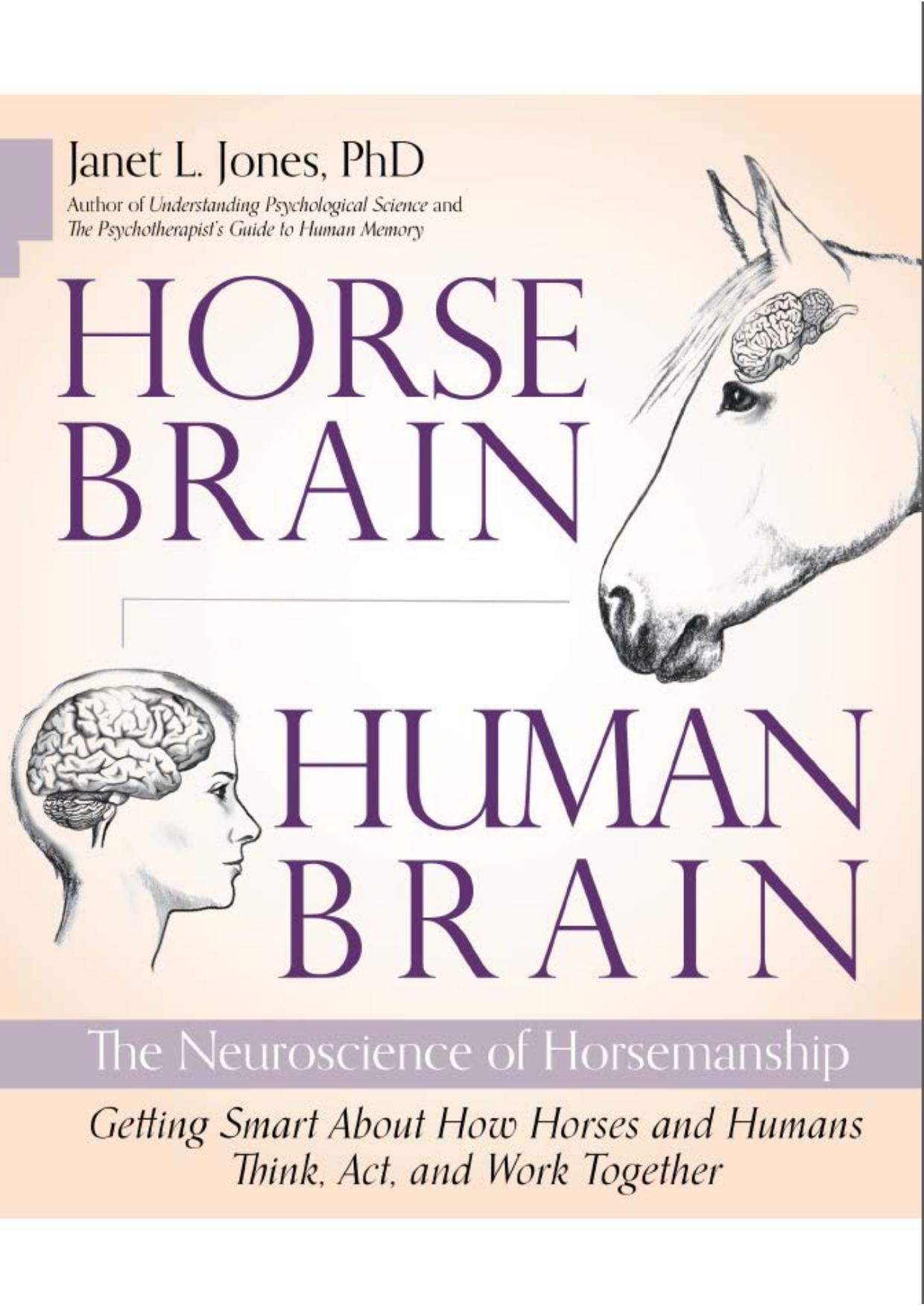 Horse Brain Human Brain