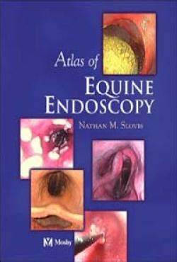 Atlas of Equine Endoscopy