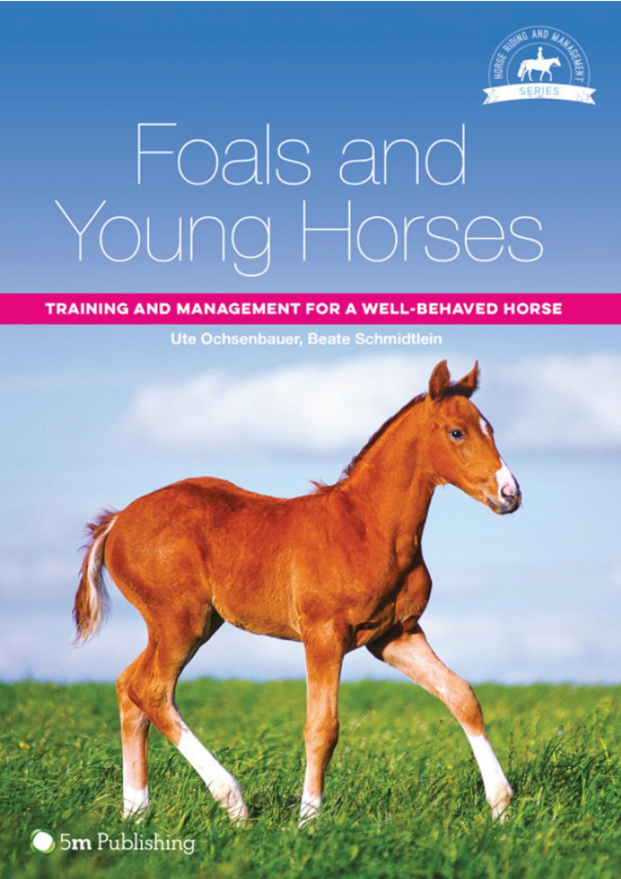 Foals and Young Horses, Training and Management for a Well-behaved Horse