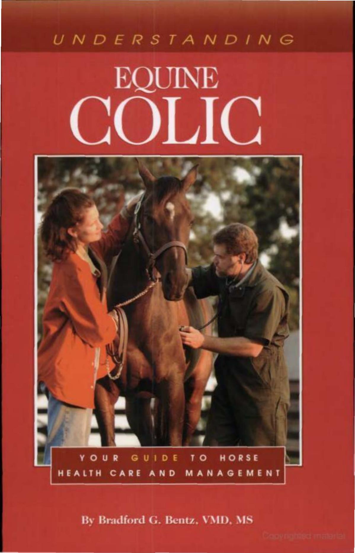 Understanding Equine Colic