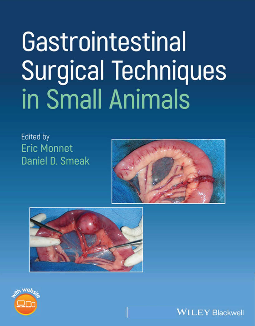 Gastrointestinal Surgical Techniques in Small Animals