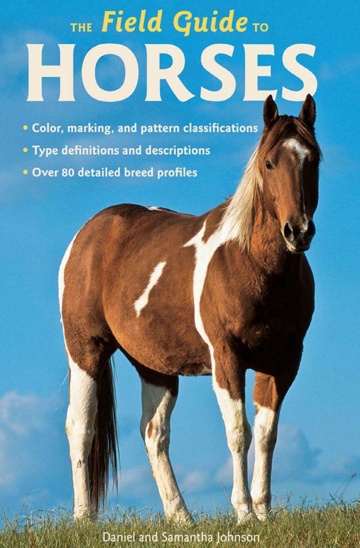 The Field Guide to Horses