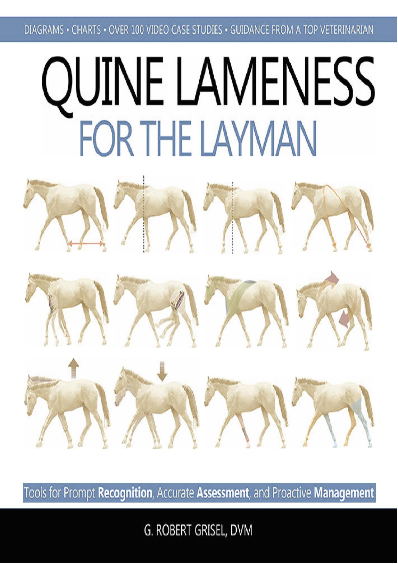 Equine Lameness for the Layman