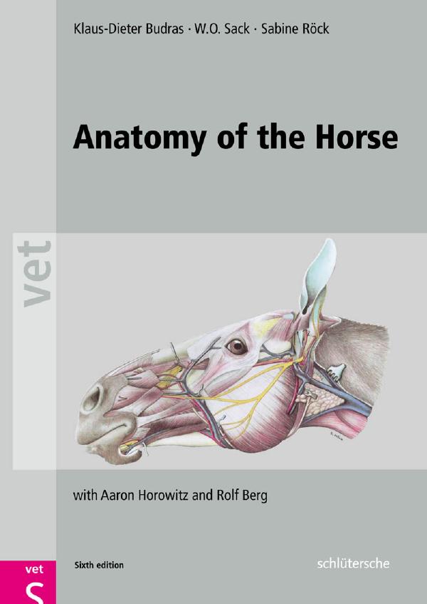 Anatomy of the Horse