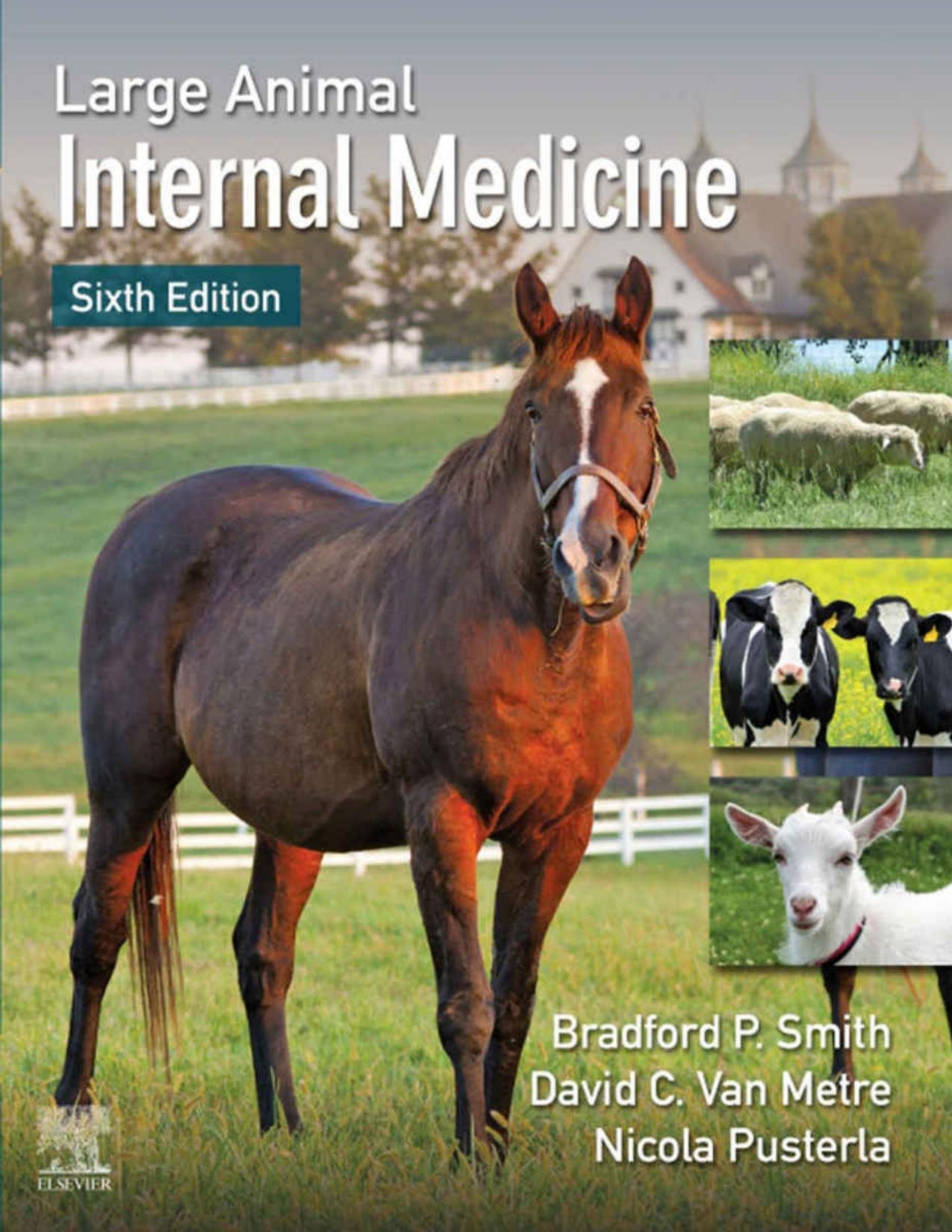 Large Animal Internal Medicine, 6th Edition