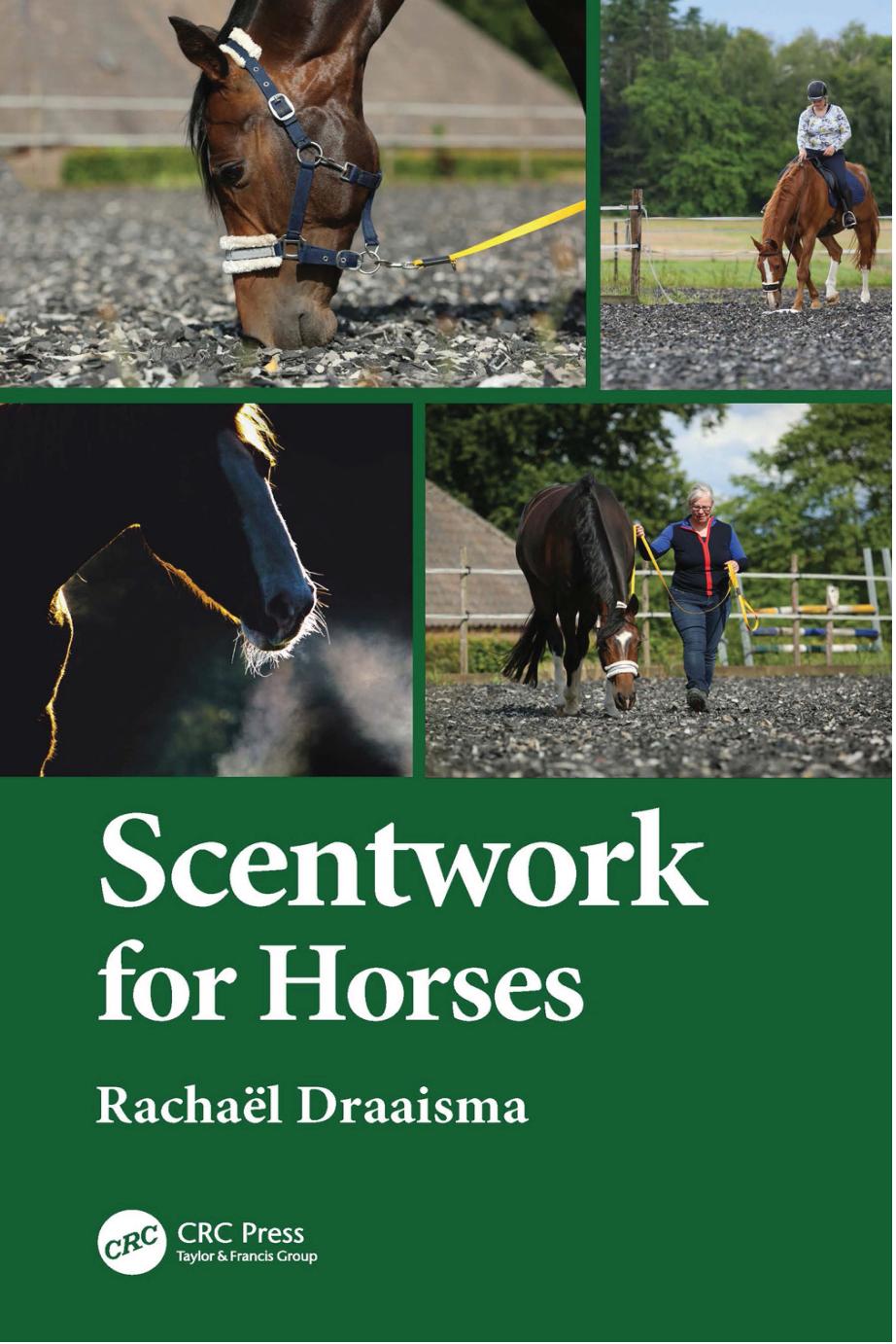 Scentwork for Horses