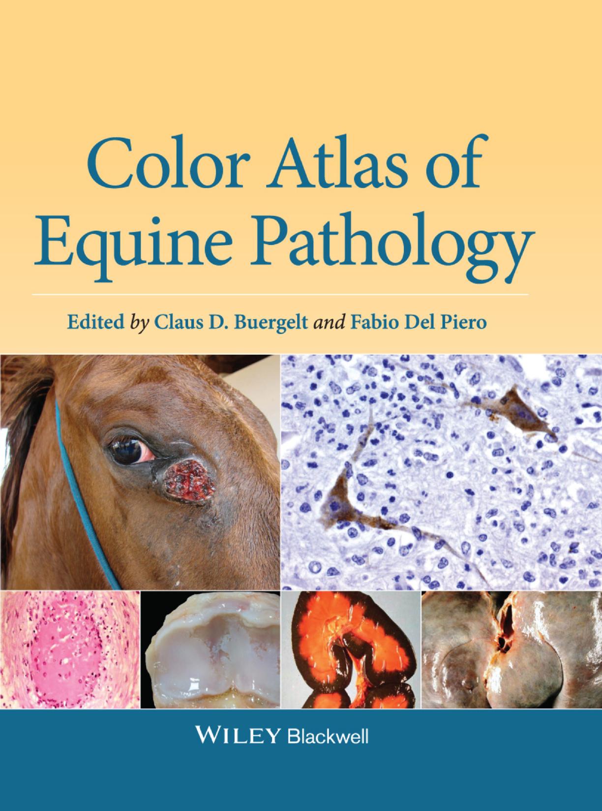 Color Atlas of Equine Pathology