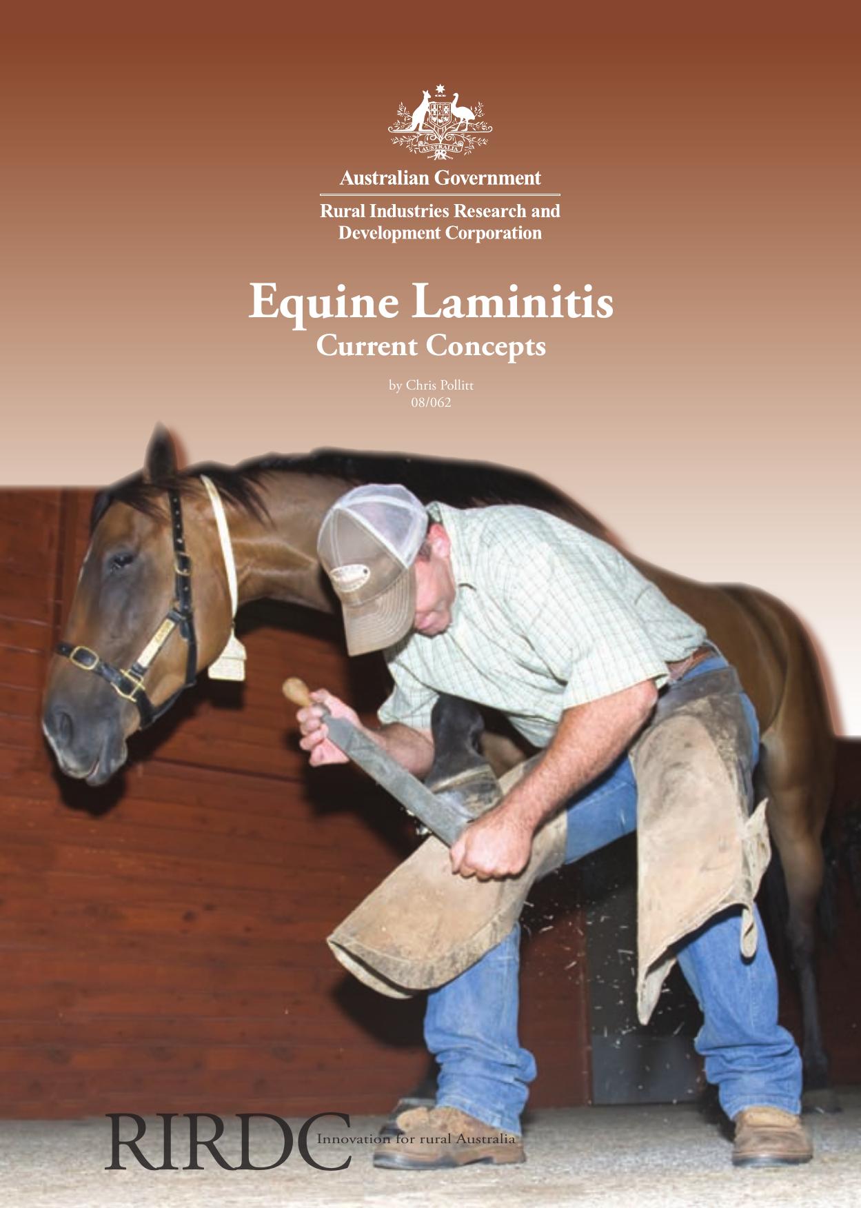 Equine Laminitis, Current Concepts