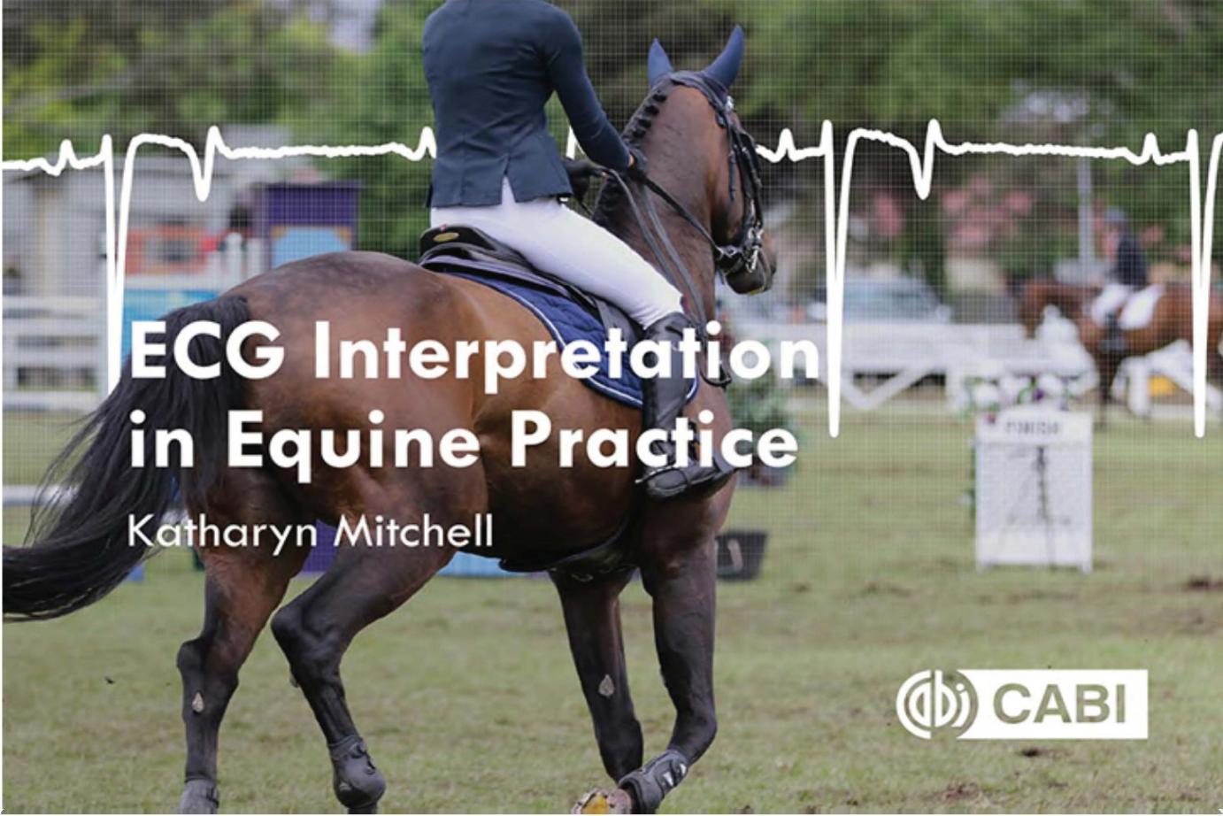 ECG Interpretation in Equine Practice