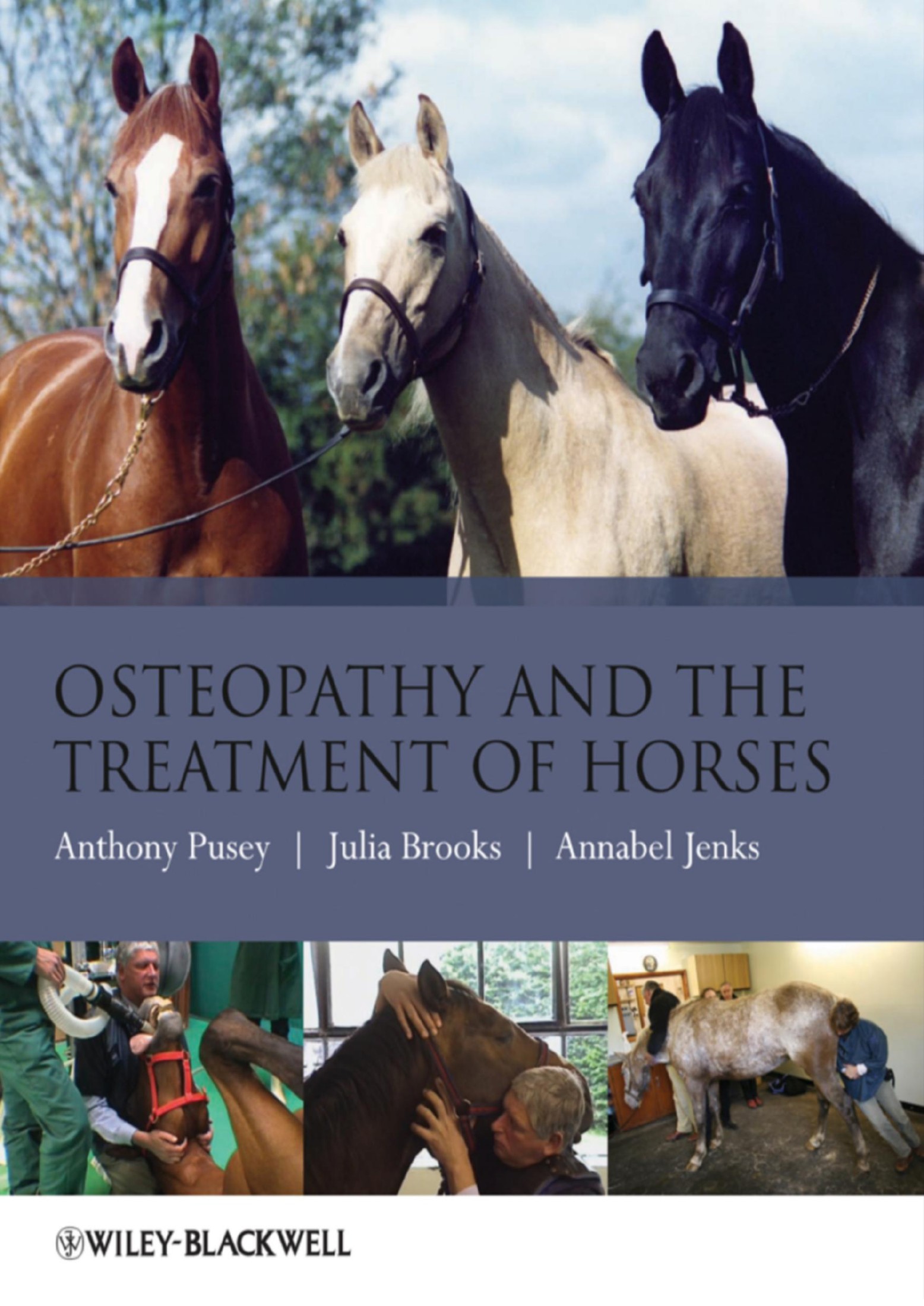 Osteopathy and the Treatment of Horses