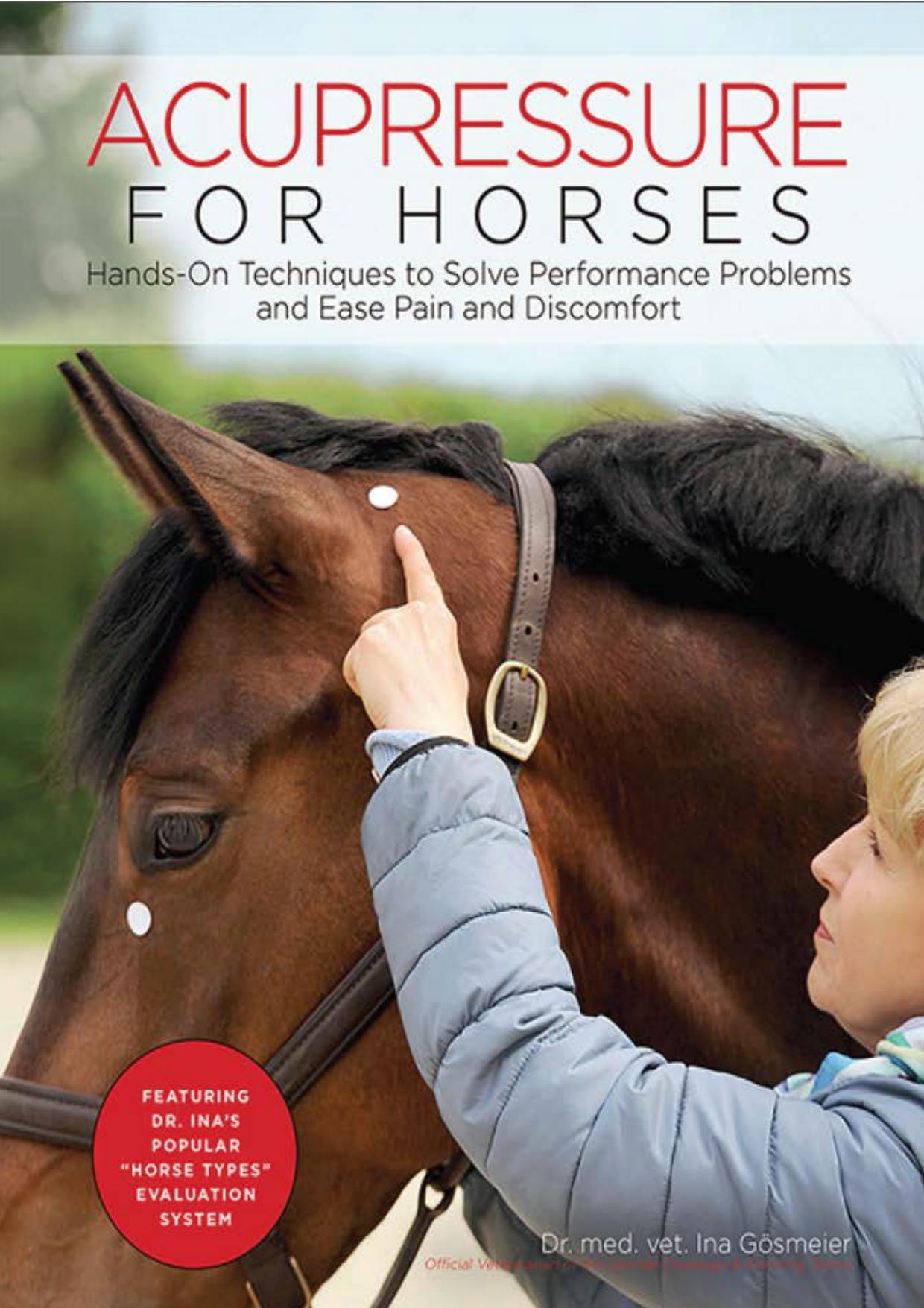 Acupressure for Horses