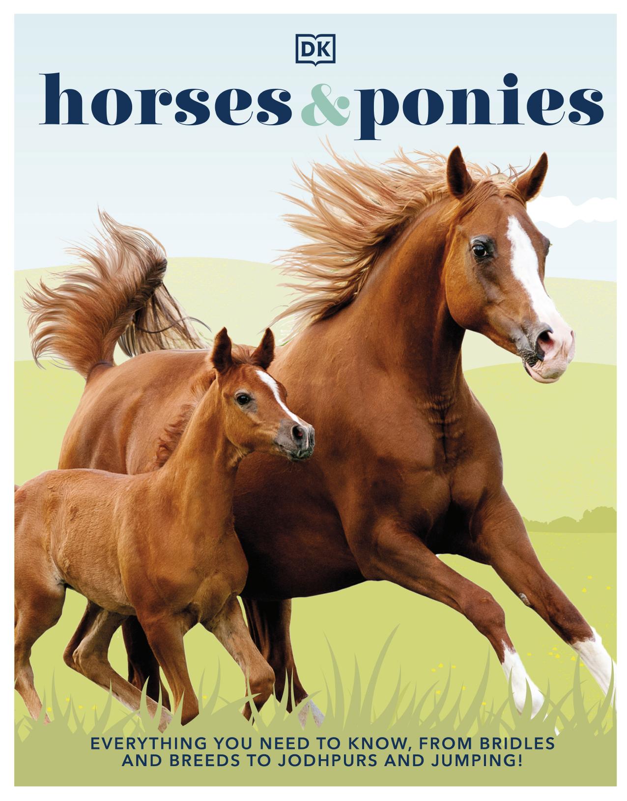 Horses and Ponies, Everything You Need to Know, From Bridles and Breeds to Jodhpurs and Jumping!