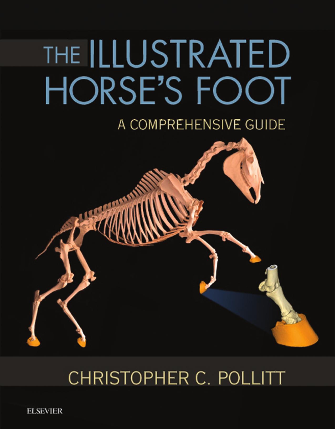 The Illustrated Horse's Foot_A comprehensive guide