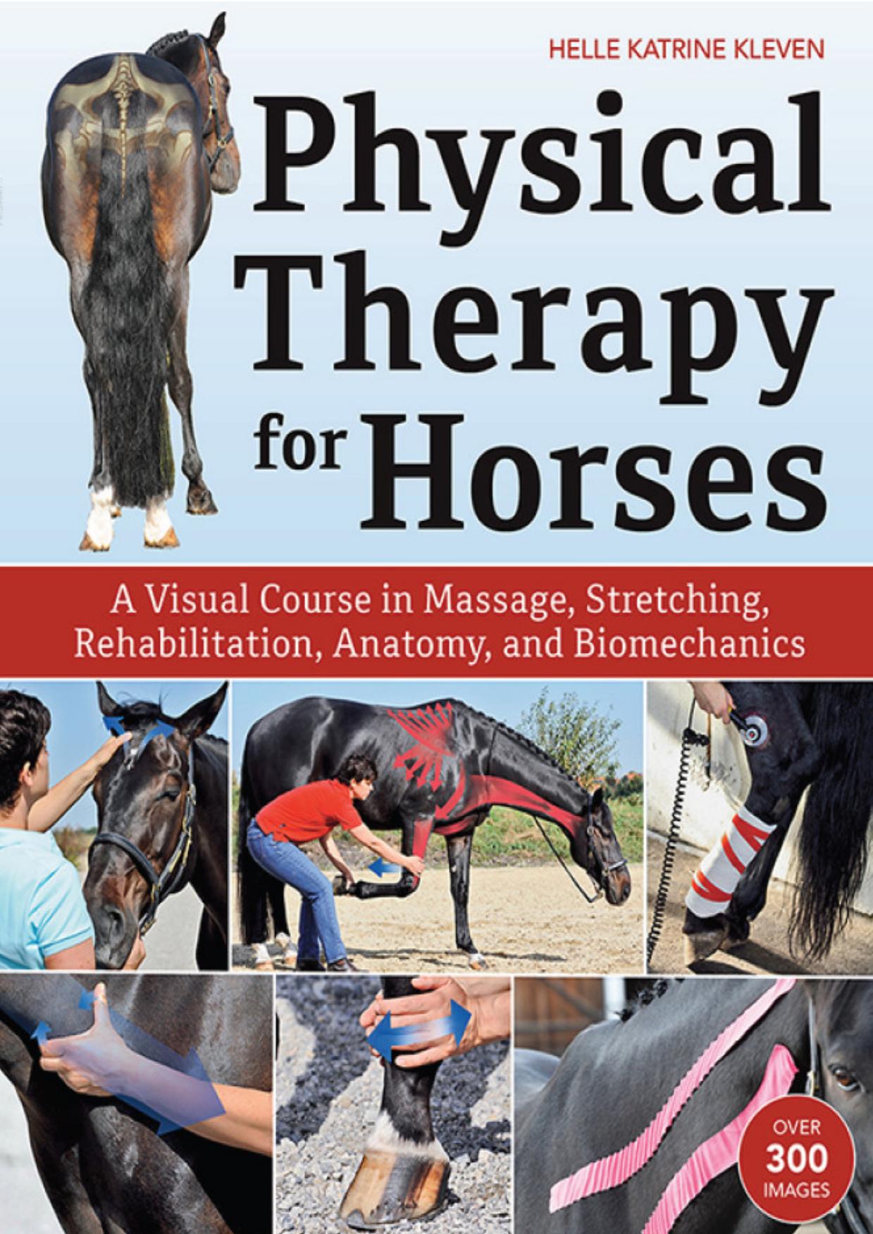 Physical Therapy for Horses