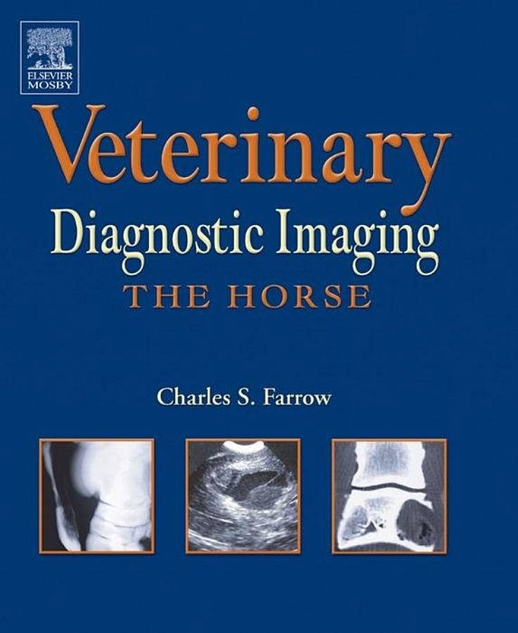 Veterinary Diagnostic Imaging - The Horse