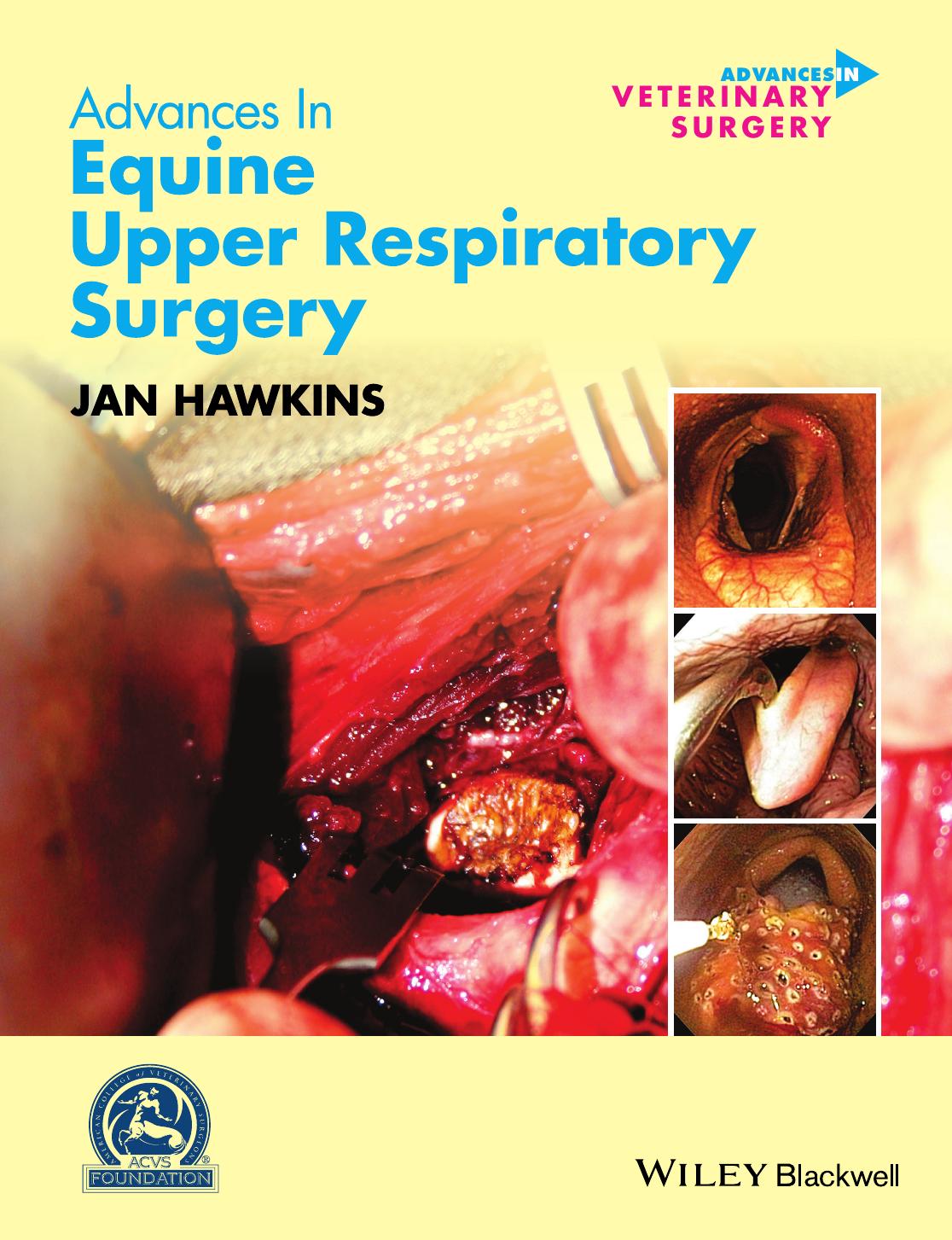 Advances in Equine Upper Respiratory Surgery