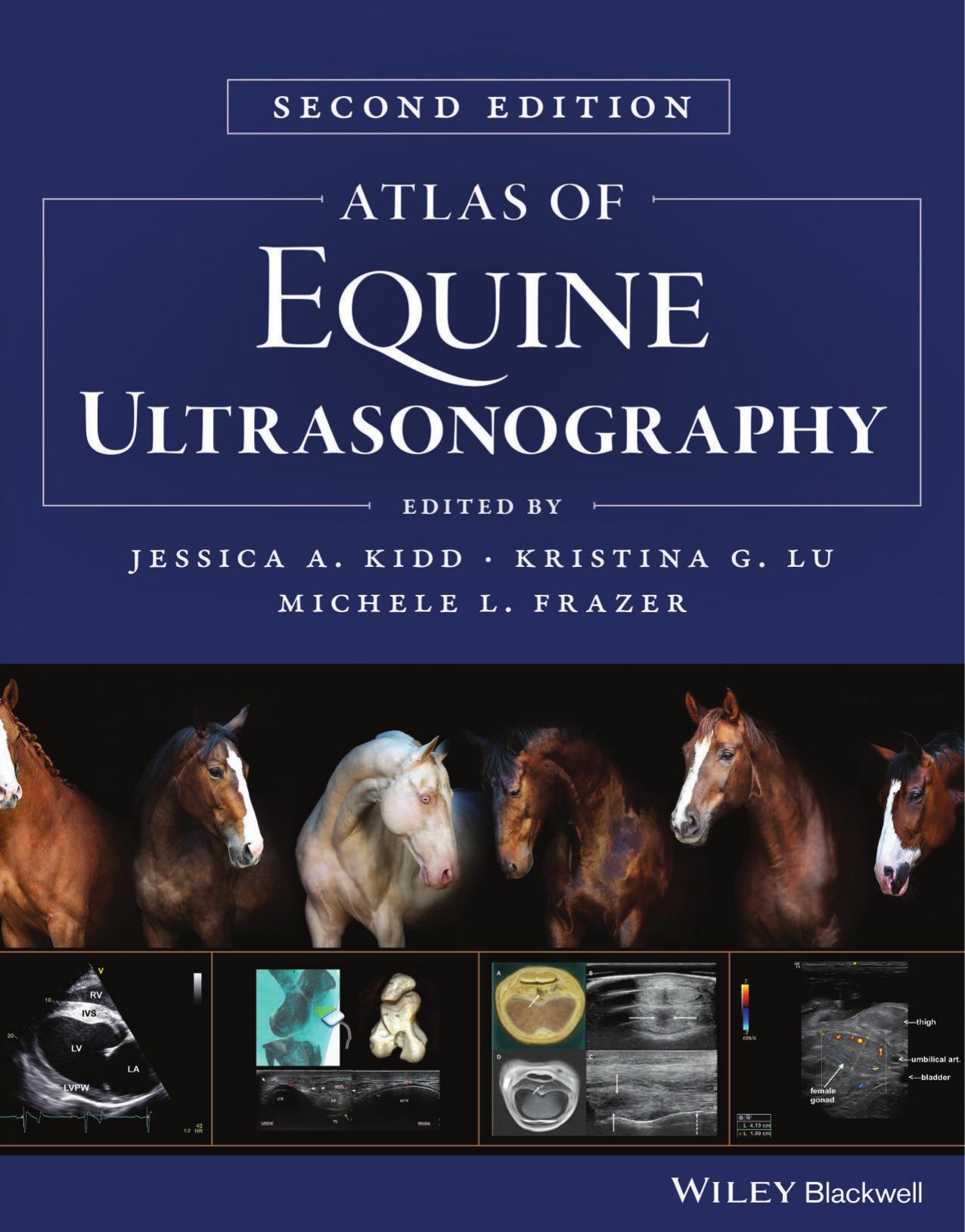 Atlas of Equine Ultrasonography