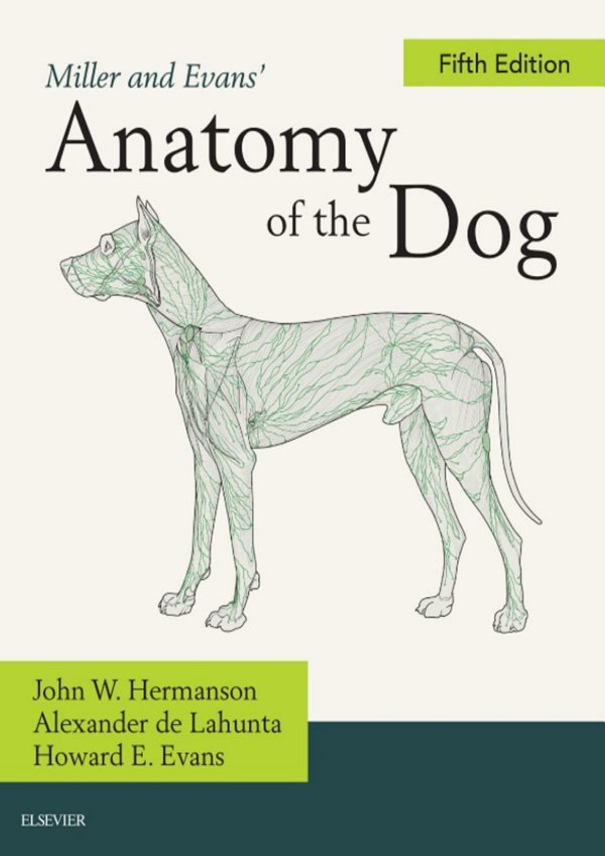 Miller and Evans' Anatomy of the Dog, 5th Edition