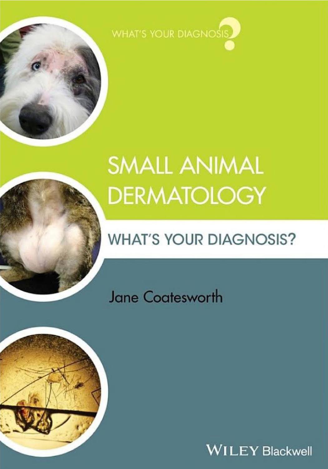 Small Animal Dermatology: What’s Your Diagnosis?