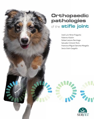 Orthopaedic pathologies of the stifle joint