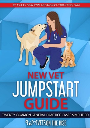 New Vet Jumpstart Guide