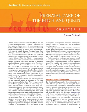 Small Animal Pediatrics. The First 12 Months of Life 2