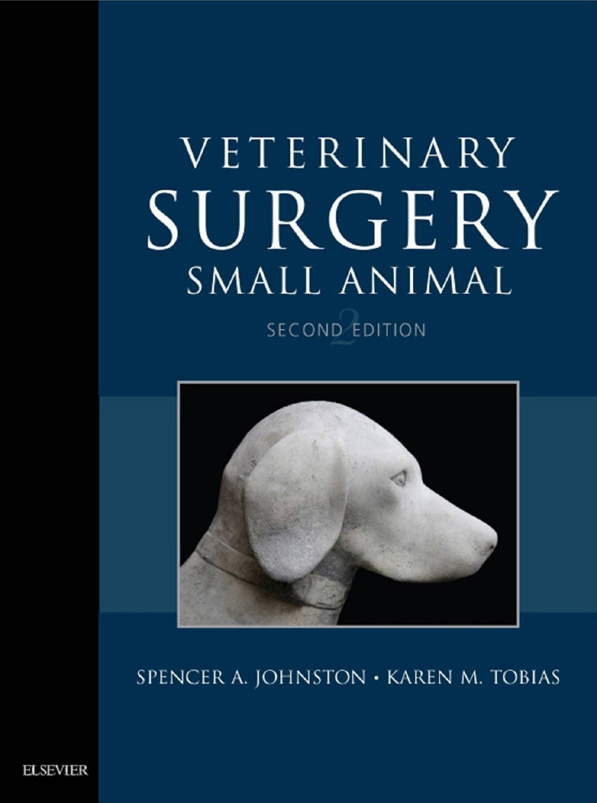 Veterinary Surgery: Small Animal