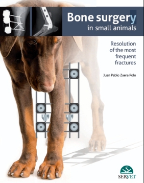 Bone surgery in small animals