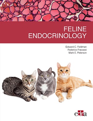 Feline Endocrinology