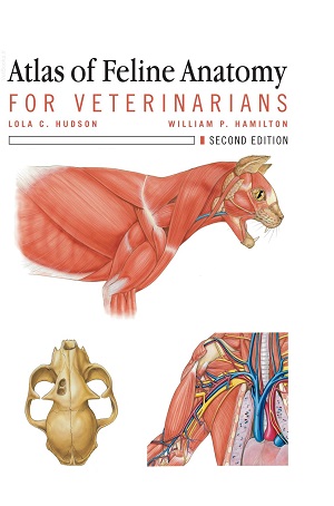 Atlas of Feline Anatomy For Veterinarians, 2nd Edition