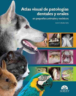 Atlas visual de patologÃ­as dentales y orales en pequeÃ±os animales y exÃ³ticos