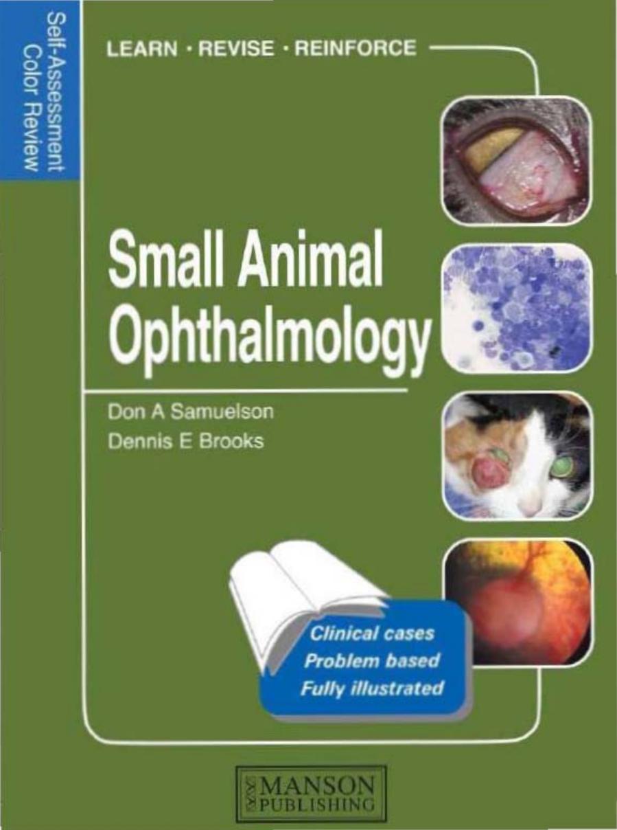 Small animal ophthalmology