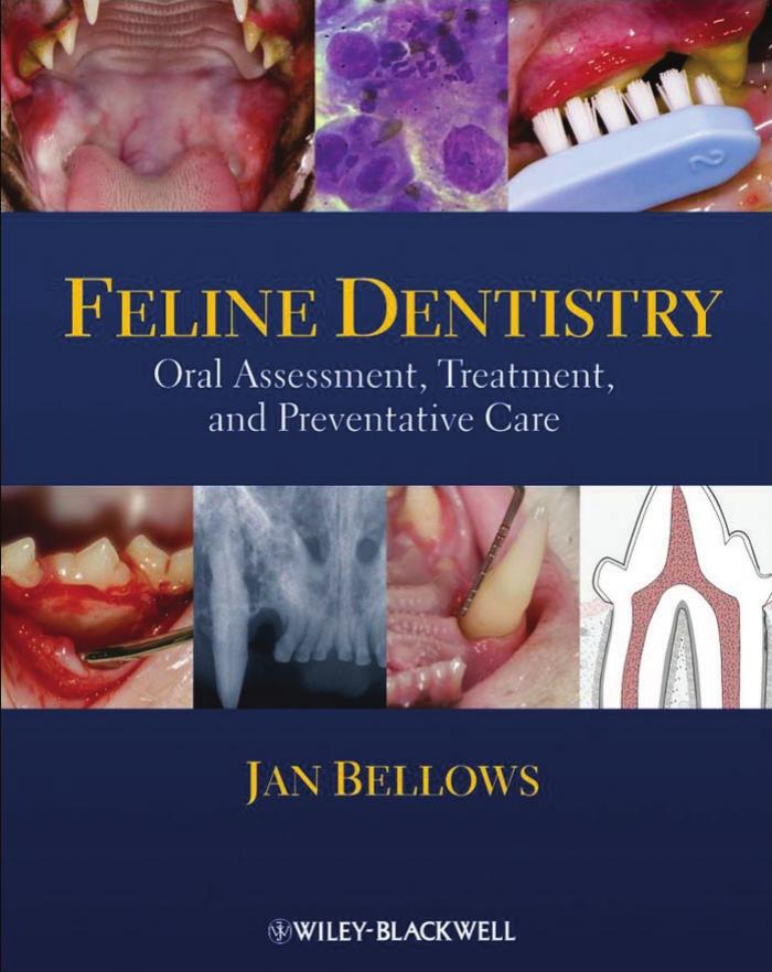 Feline Dentistry - Oral Assessment, Treatment, and Preventative Care