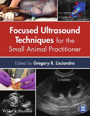 Focused Ultrasound Techniques for the Small Animal Practitioner