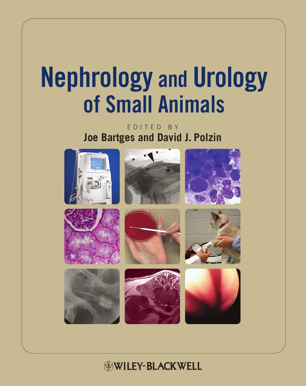 Nephrology and Urology of Small Animals