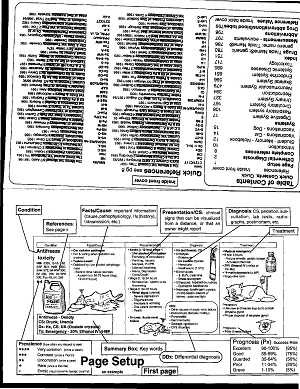 Tschauner's Guide to Small Animals Clinics