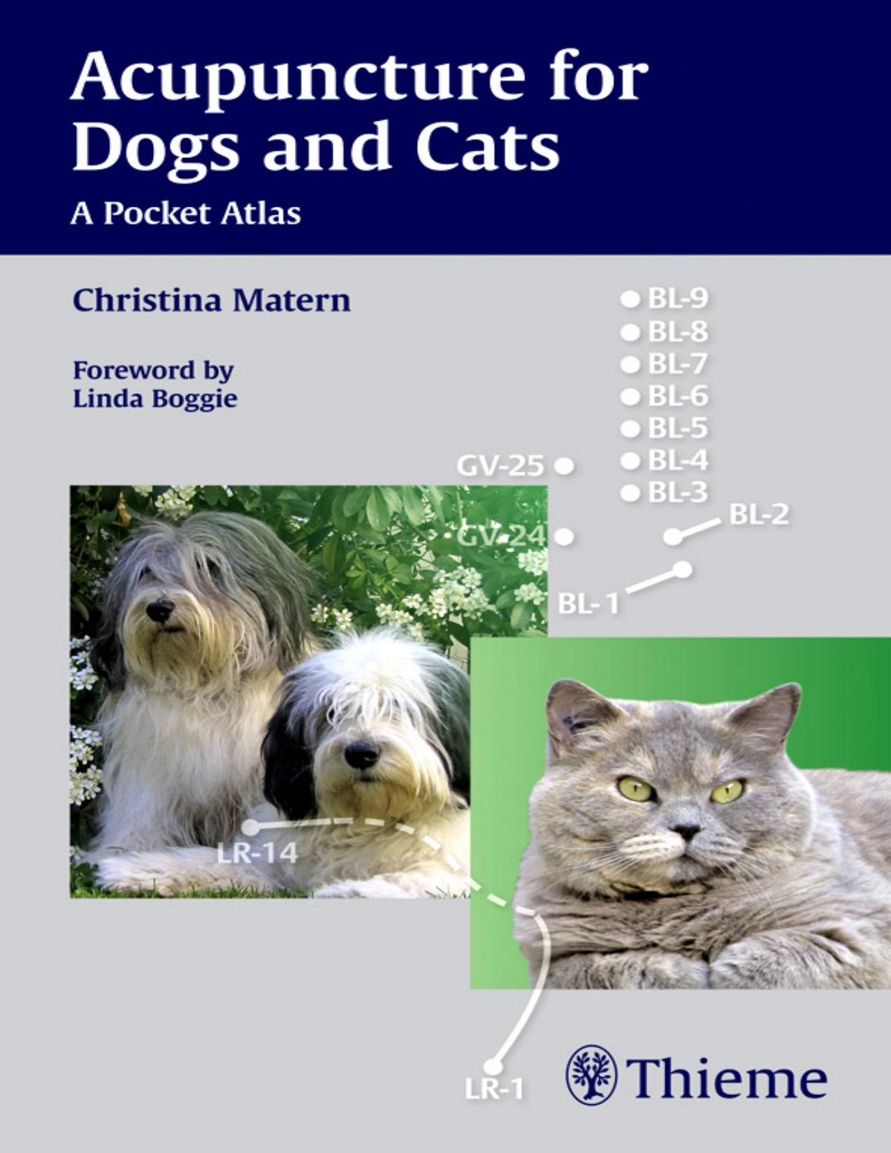 Acupuncture for Dogs and Cats: A Pocket Atlas