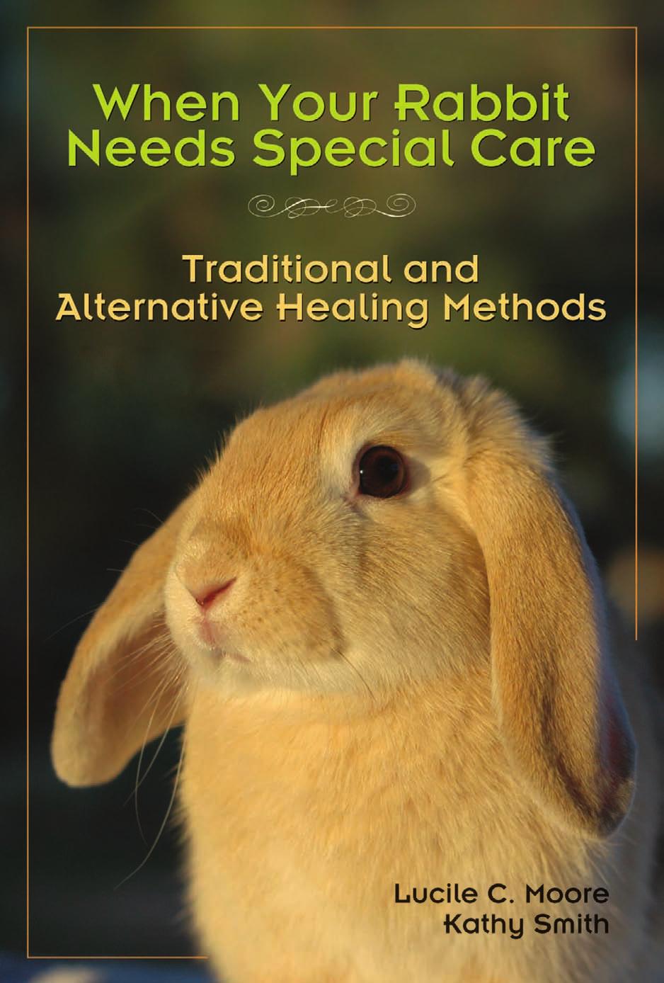 When Your Rabbit Needs Special Care