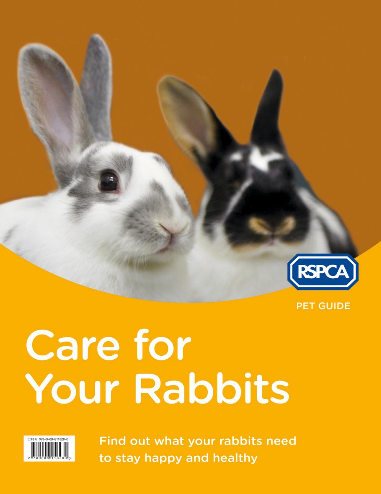 Care for your Rabbit (RSPCA Pet Guide)