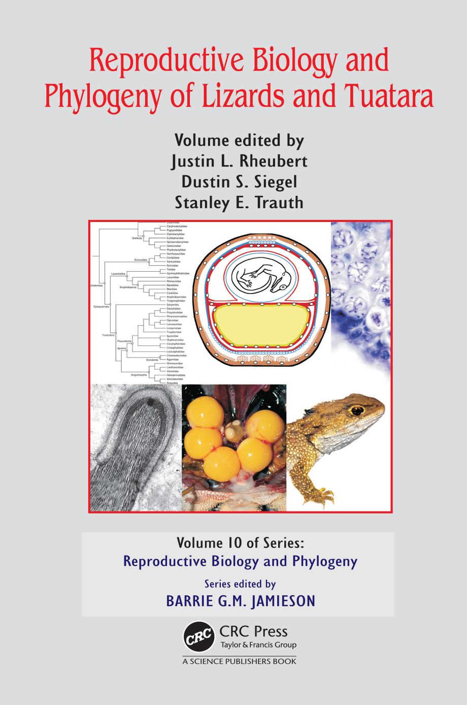 Reproductive Biology and Phylogeny of Lizards and Tuatara