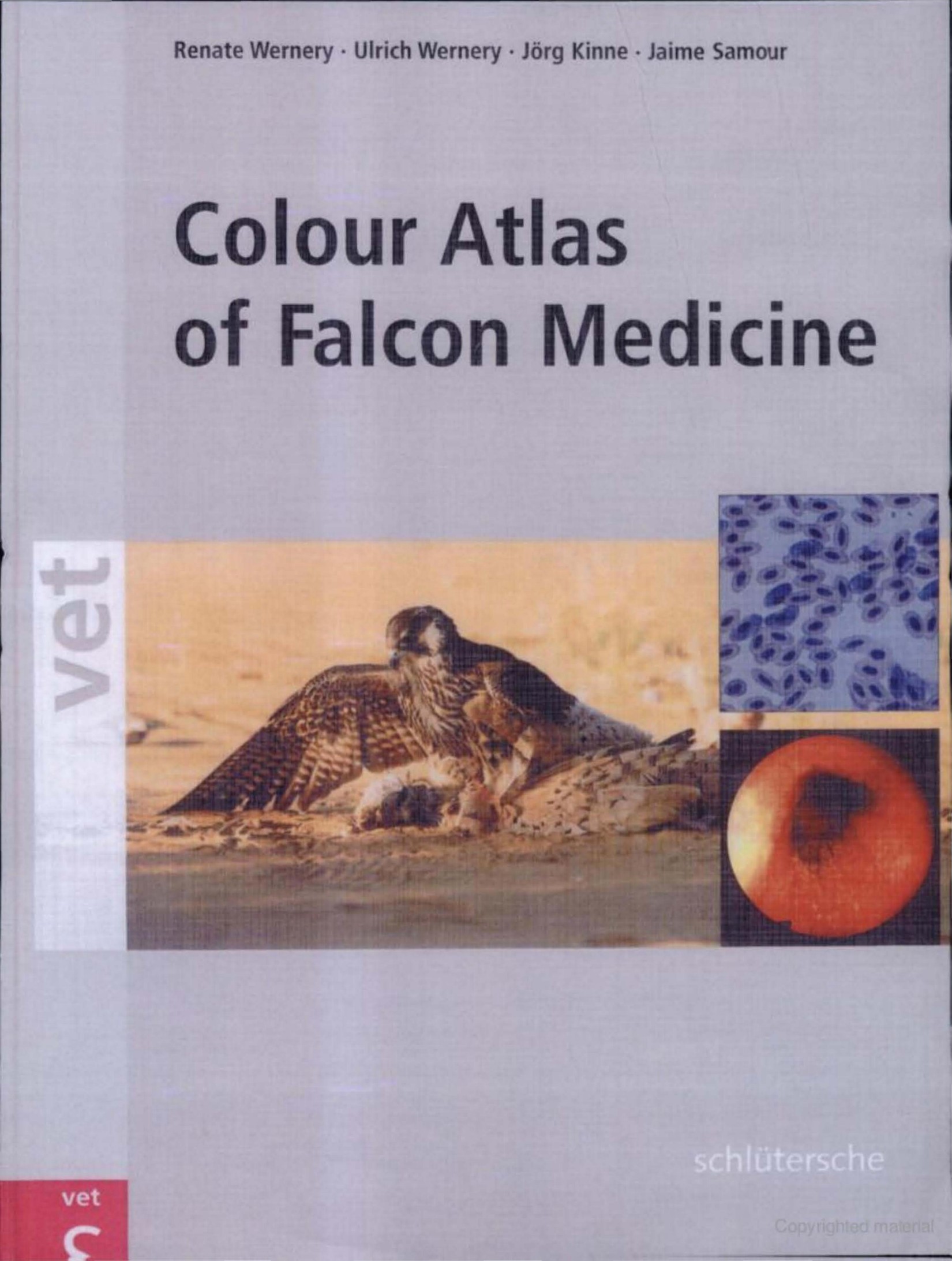 Colour Atlas of Falcon Medicine