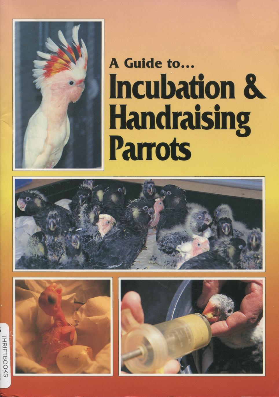 A Guide to Incubation and Handraising Parrots