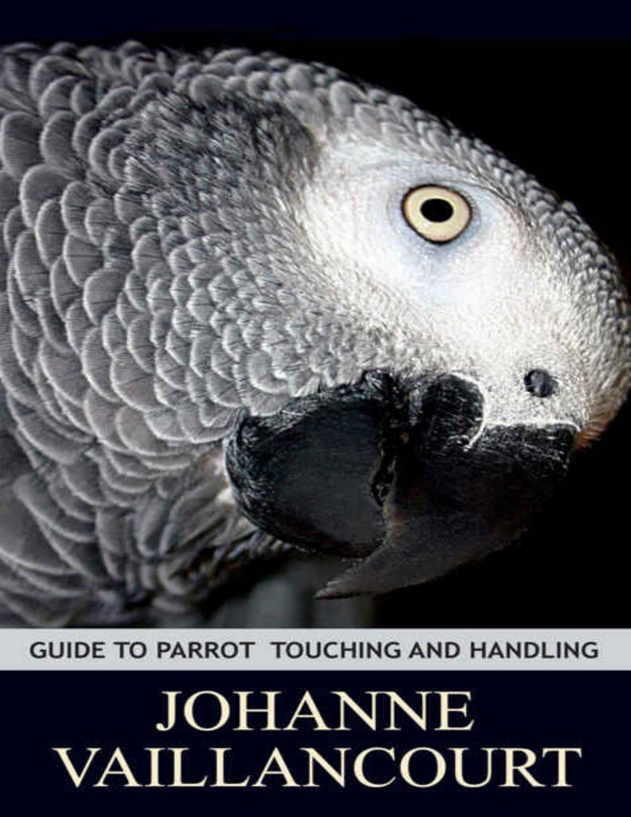 Guide to Parrot Touching and Handling