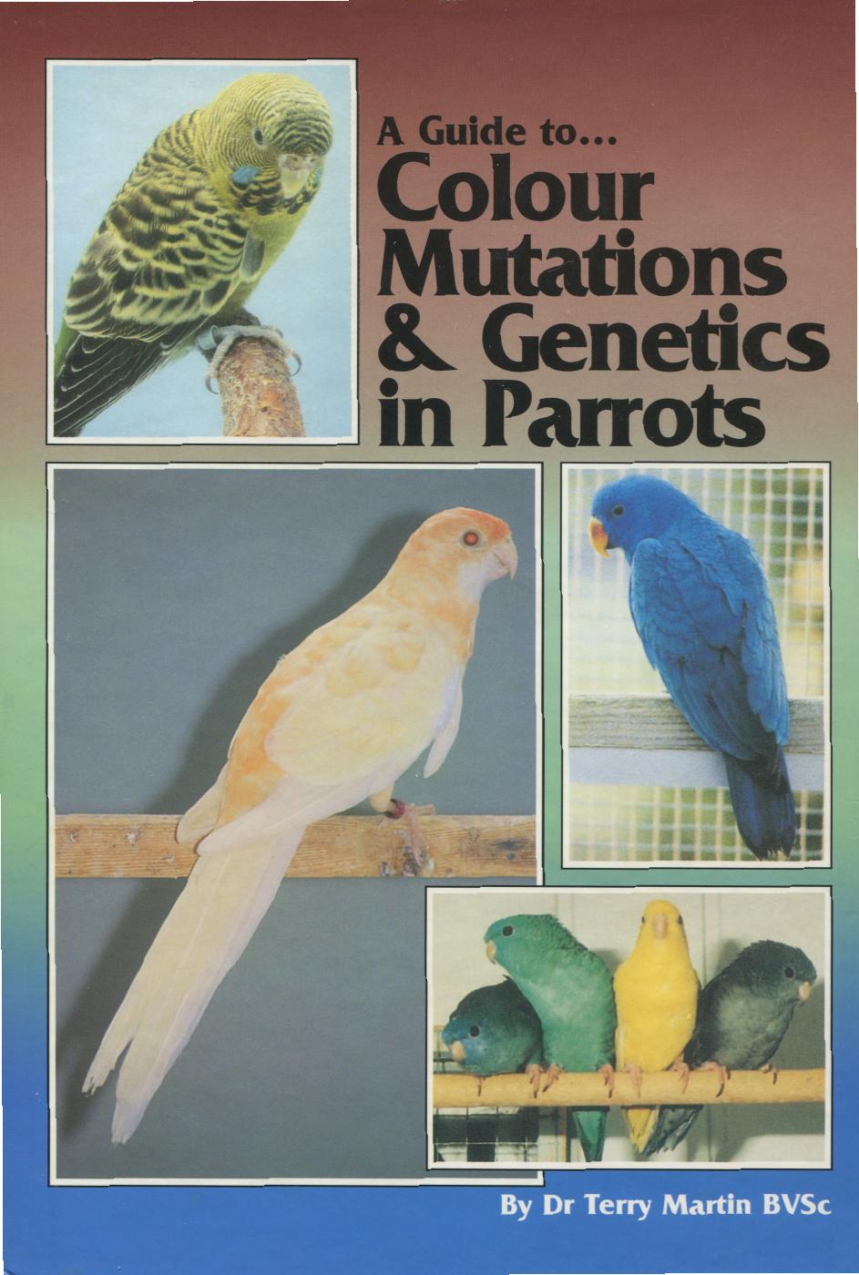 A Guide to Colour Mutations & Genetics in Parrots