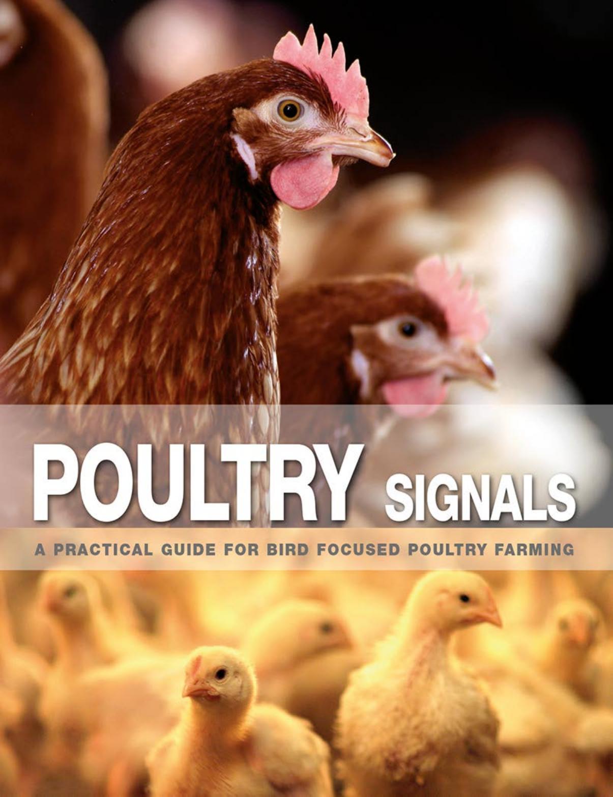 Poultry Signals, A Practical Guide for Bird Focused Poultry Farming